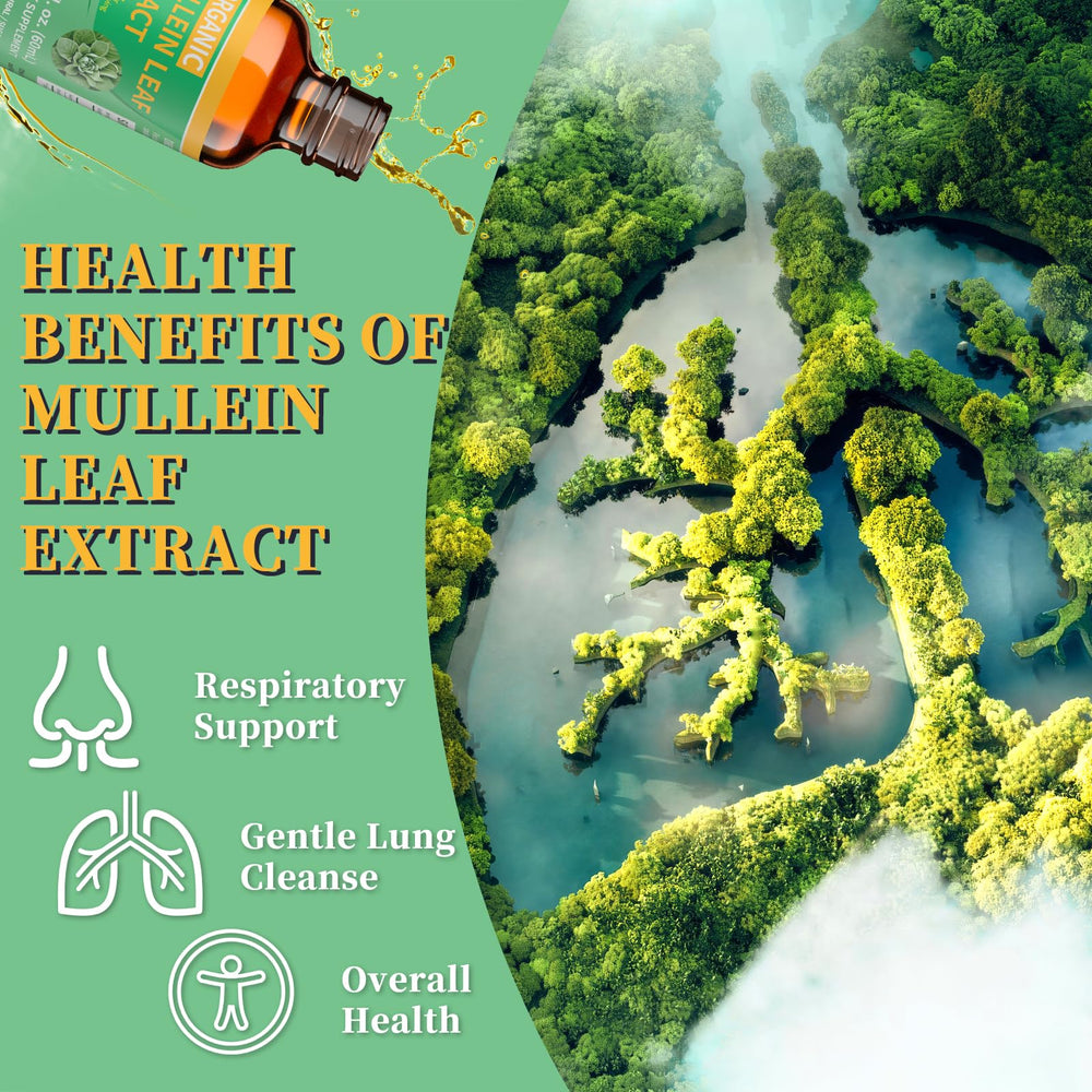 Mullein leaf tincture drops applied under the tongue