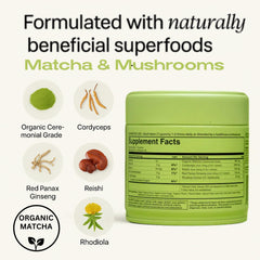 Close-up of organic matcha and mushroom blend ingredients