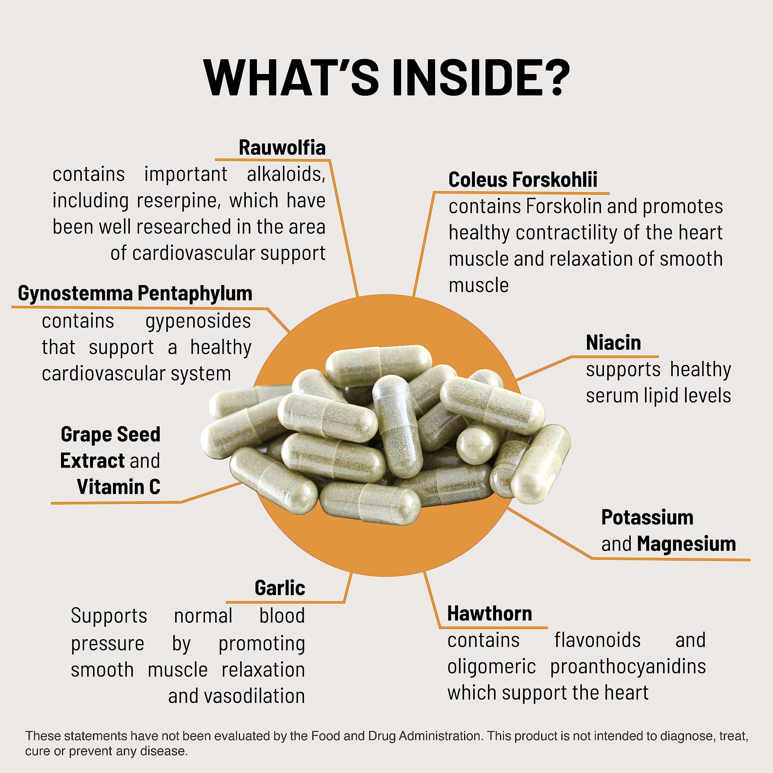 HTN Support bottle showing grape seed extract ingredient
