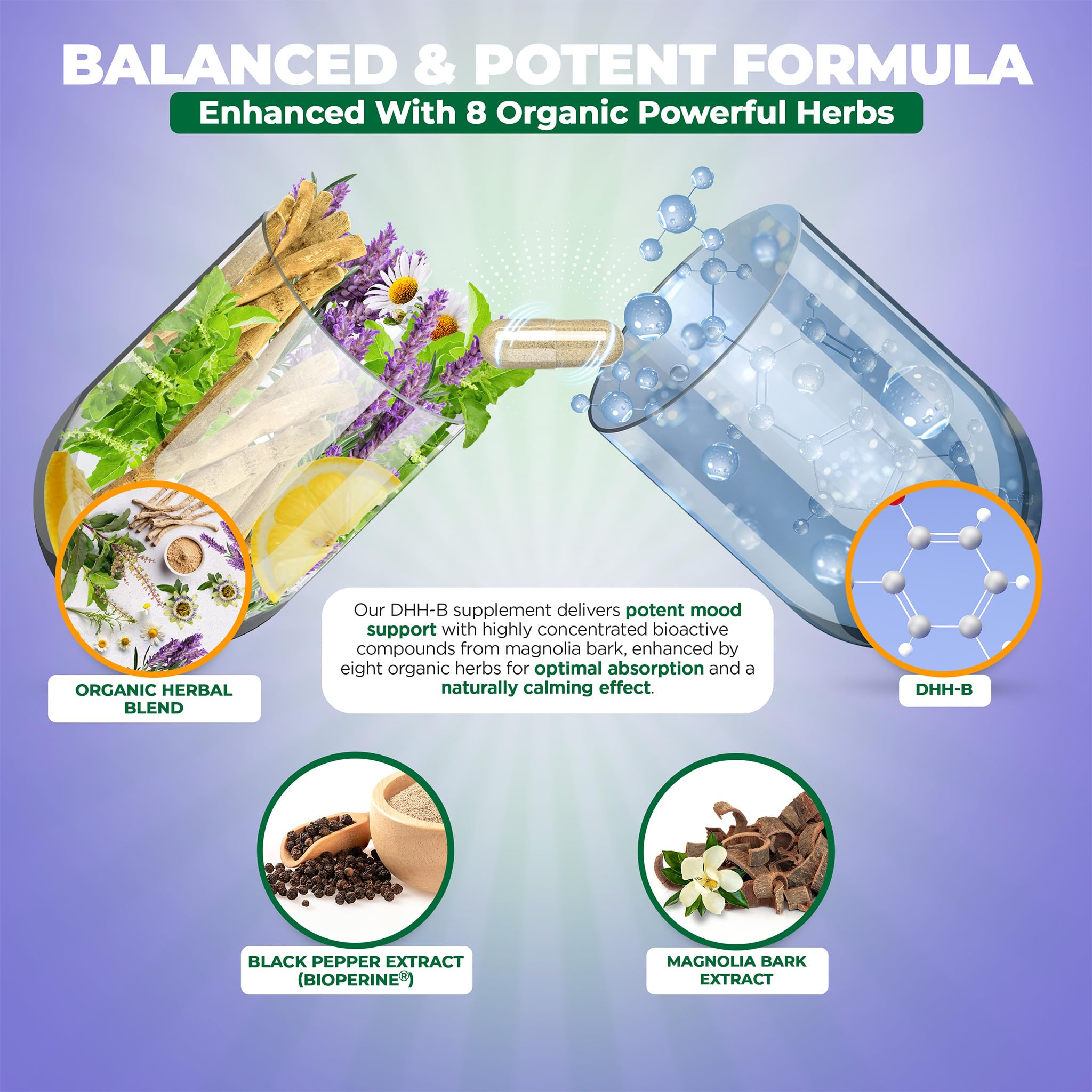 DHH-B ingredients list including magnolia bark and ashwagandha