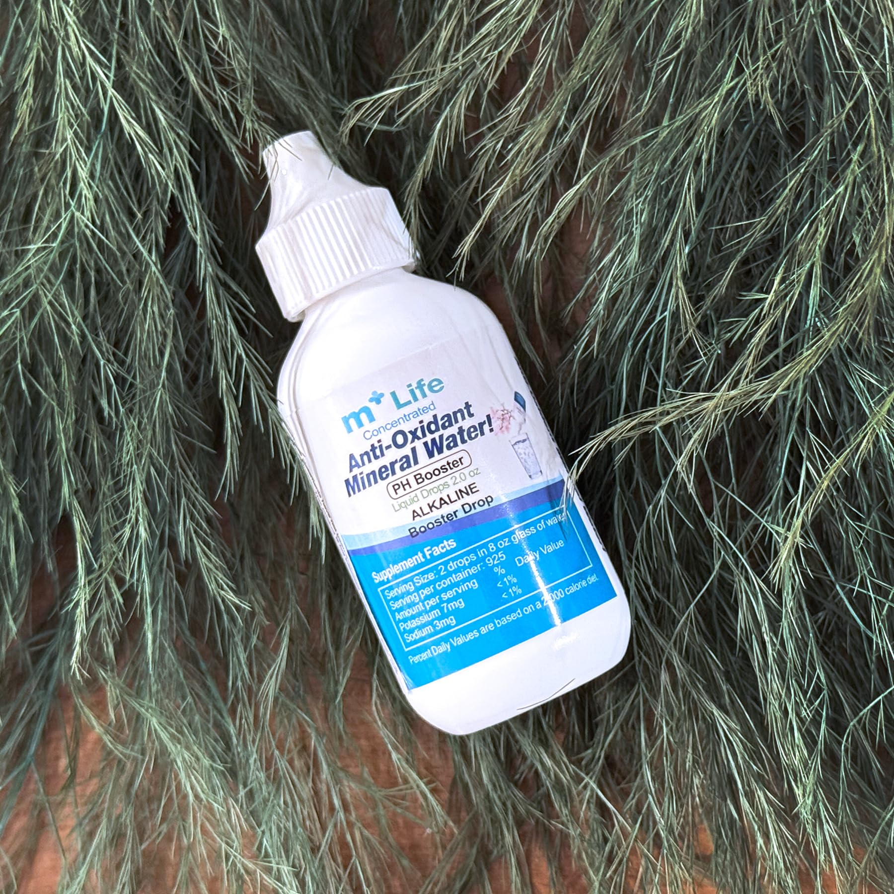 Antioxidants in Mplus Life helping neutralize acids