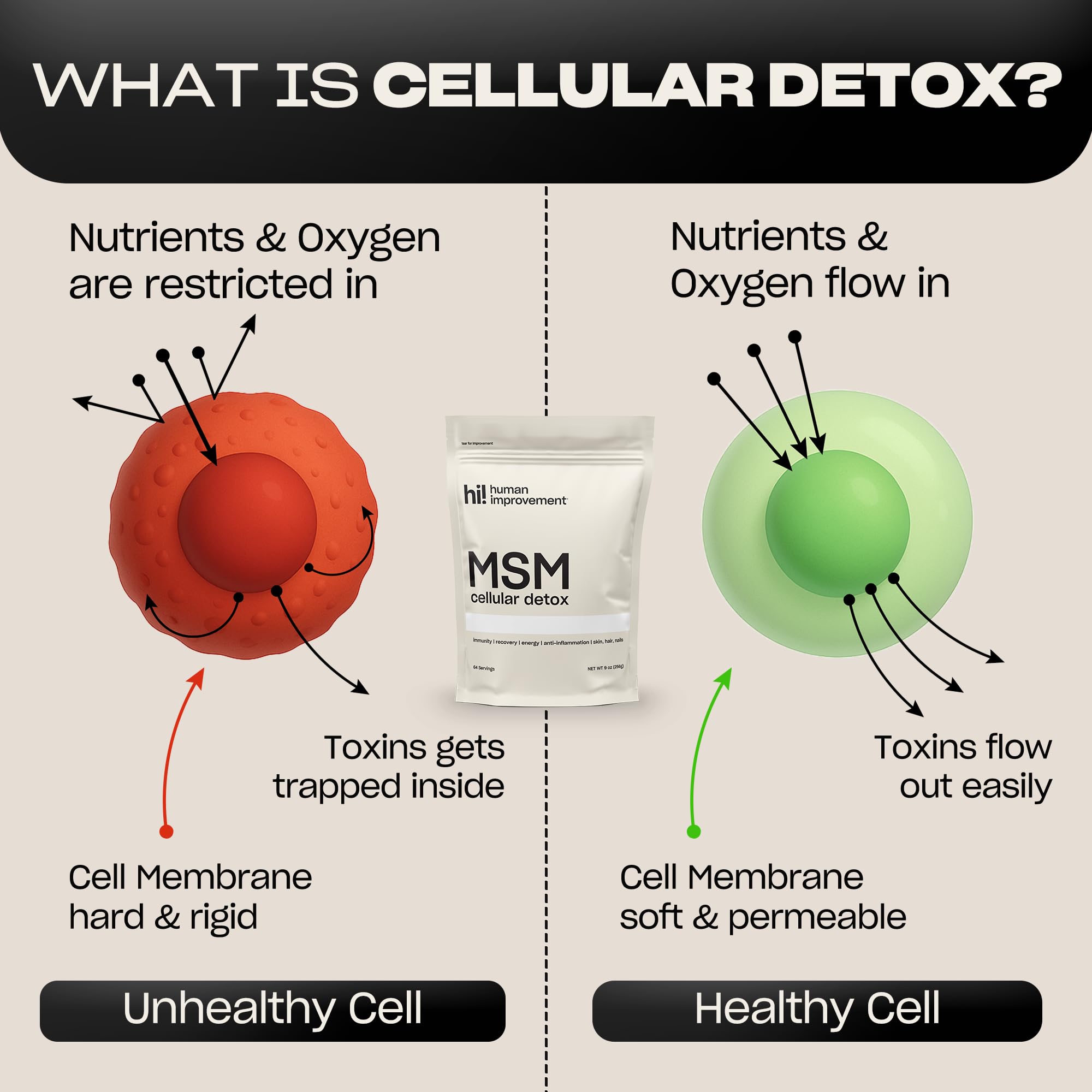 MSM powder supports skin, hair, nails