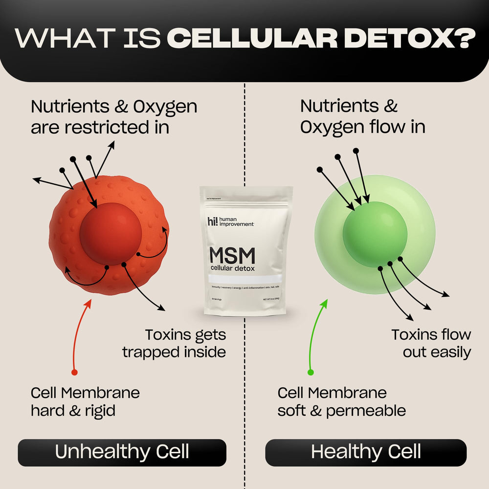 MSM powder supports skin, hair, nails