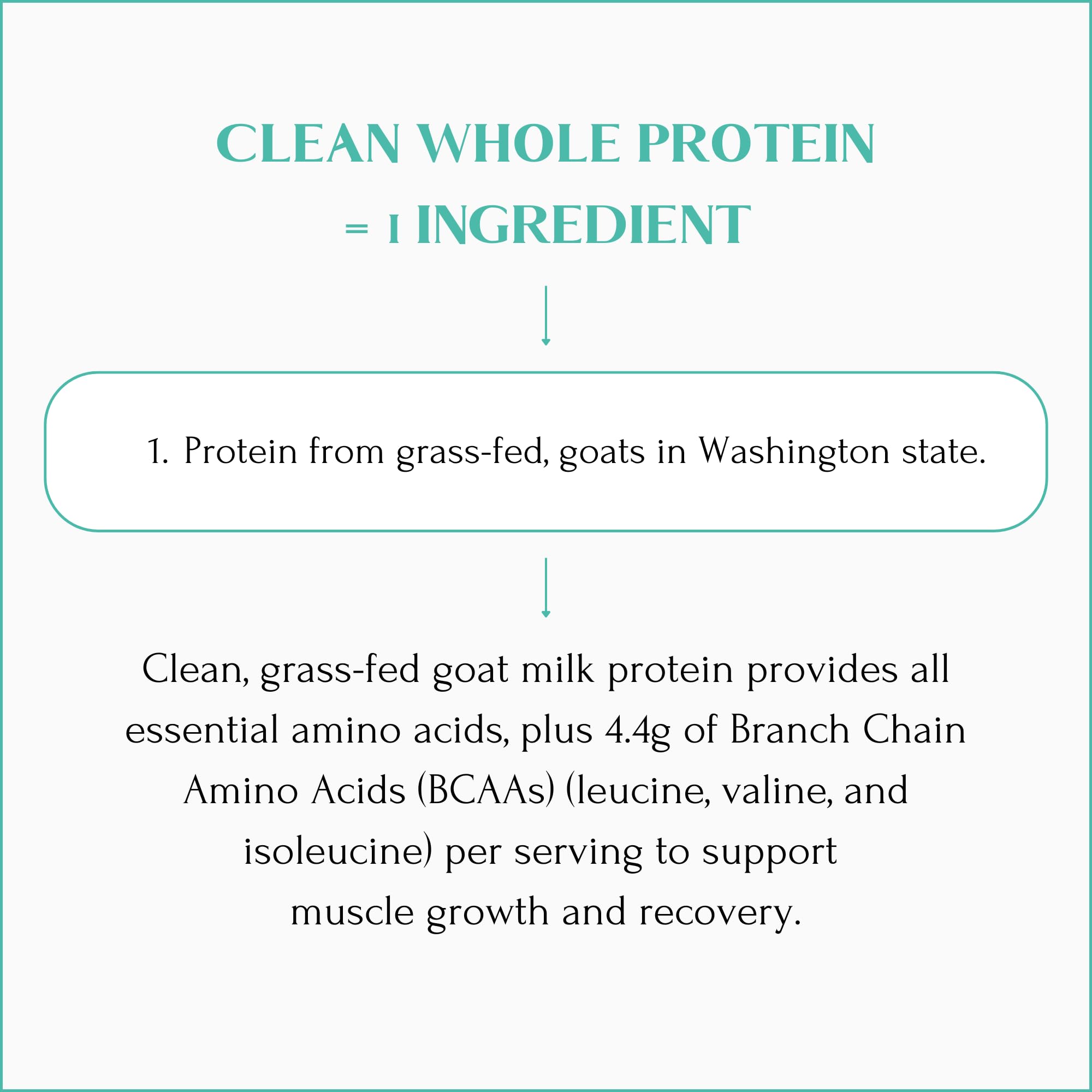 Mt Capra goat milk A2 protein alternative supports gentle digestion