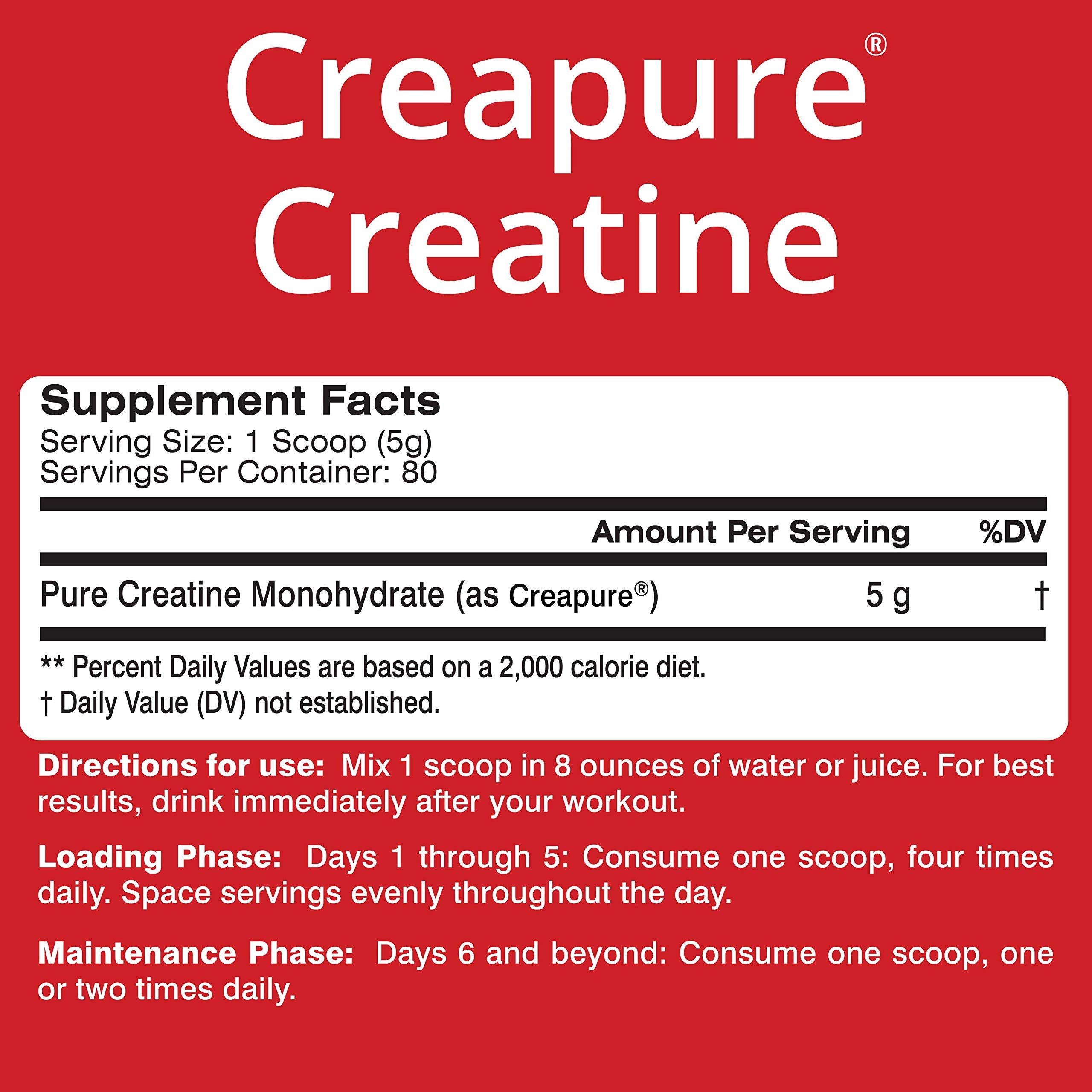 Serving scoop of Creapure Creatine powder