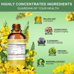 Graphic representing lung health and bronchial support