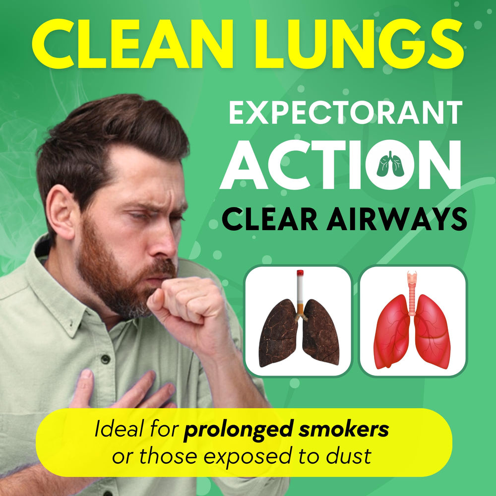 Product label close-up of Mullein Chlorophyll Drops