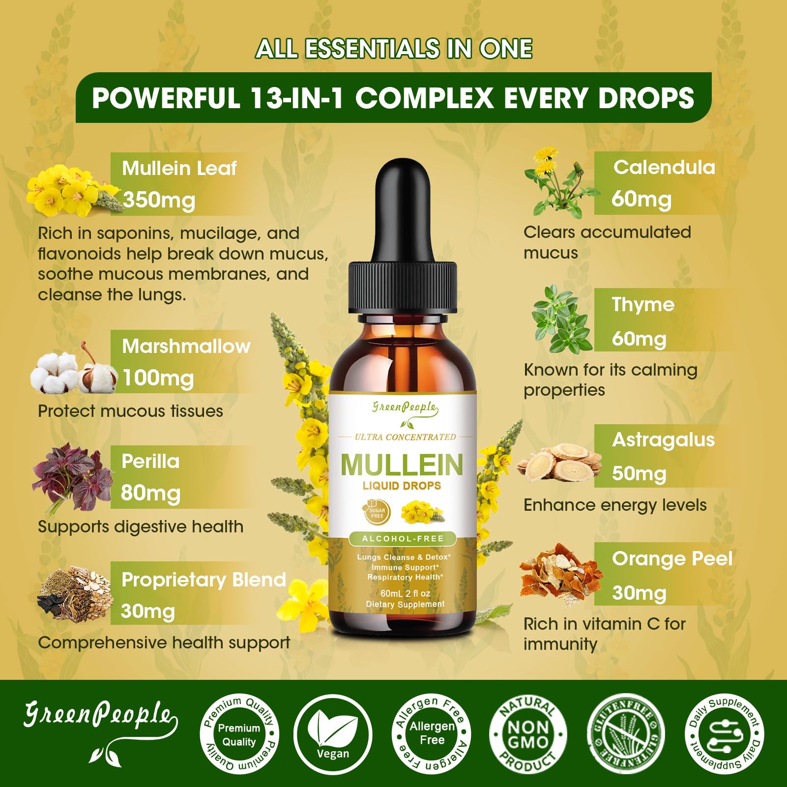 Graphic depicting the 13 botanicals in the Mullein Drops blend