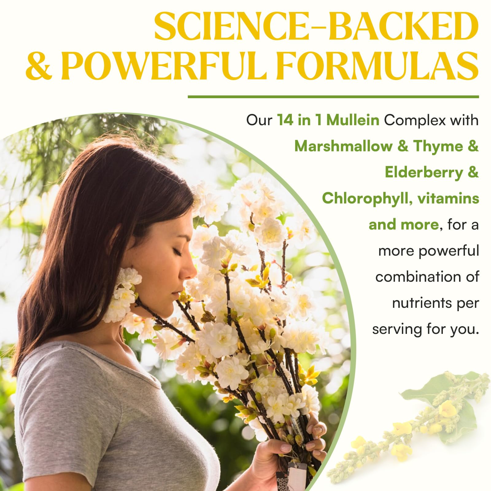 Mullein Drops with fast-acting absorption