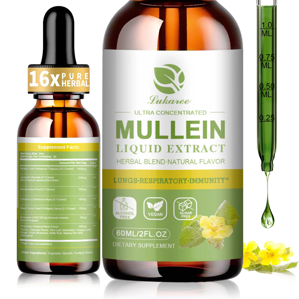 Mullein Drops hero image showing lungs and relief