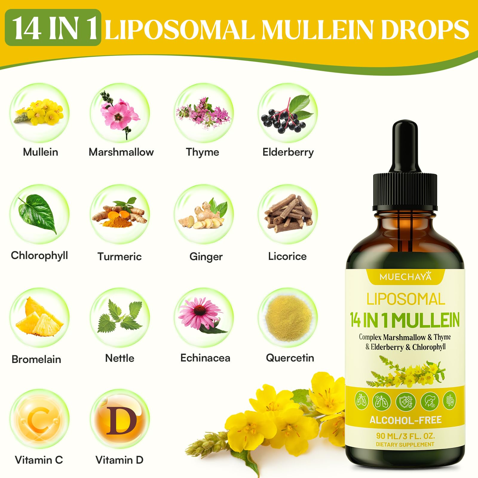 Herbal blend promoting immune support and digestive health