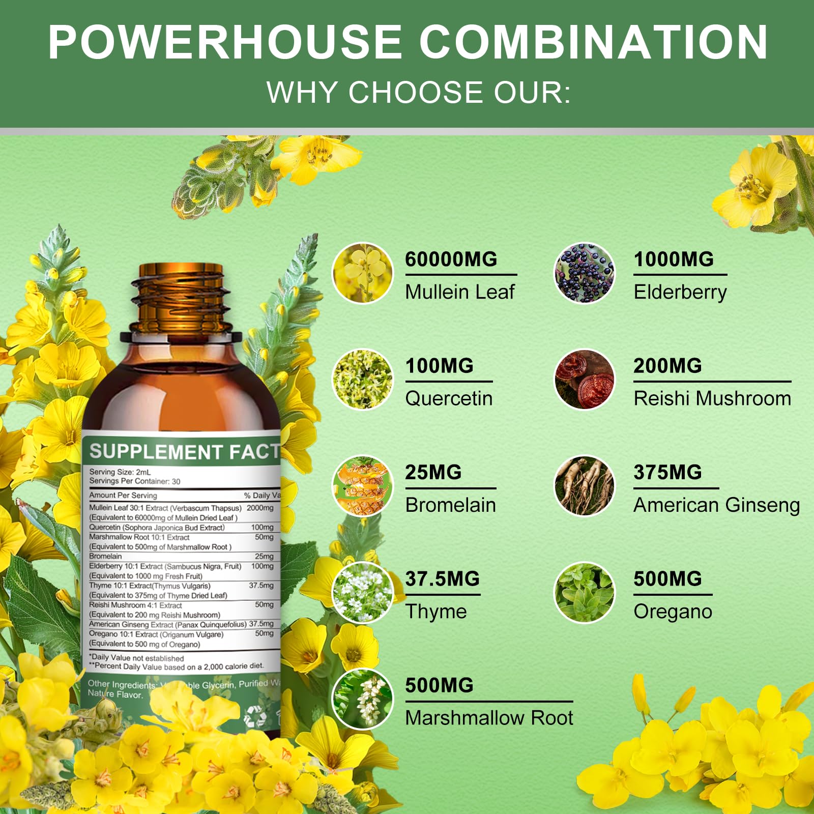 Illustration of lung detox and respiratory support with mullein drops
