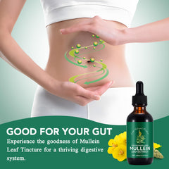 Close-up of mullein leaf extract liquid