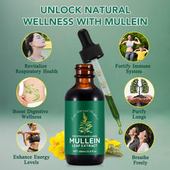 Chlorophyll-rich mullein leaf extract bottle