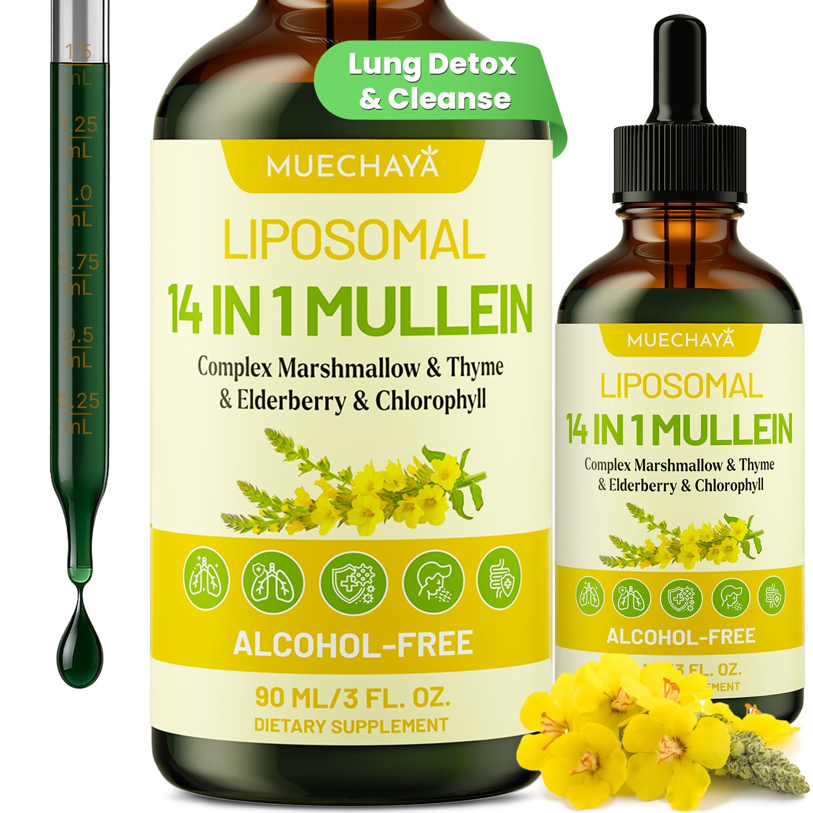 Hero image of Mullein Drops For Lungs mint flavor in a 3 fl oz bottle