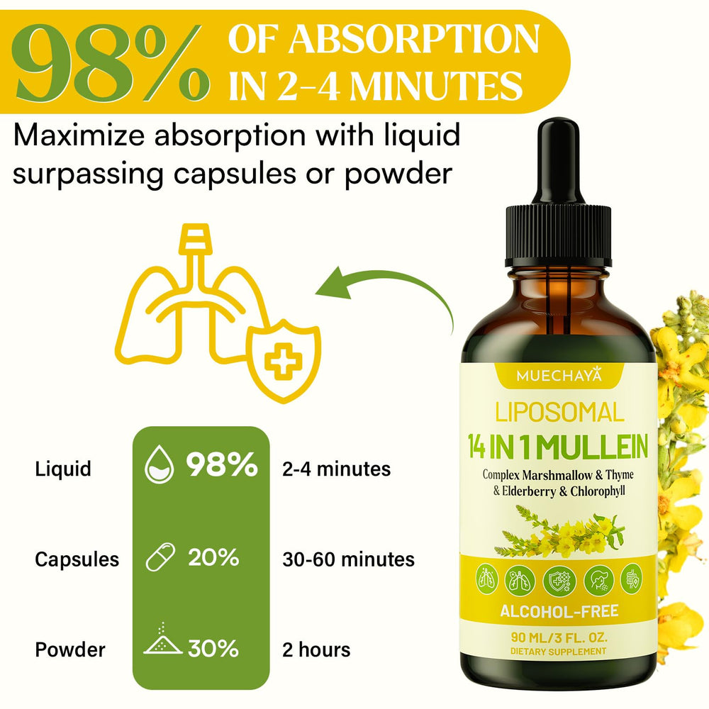 Packaging of Mullein Drops in a 3 fl oz bottle