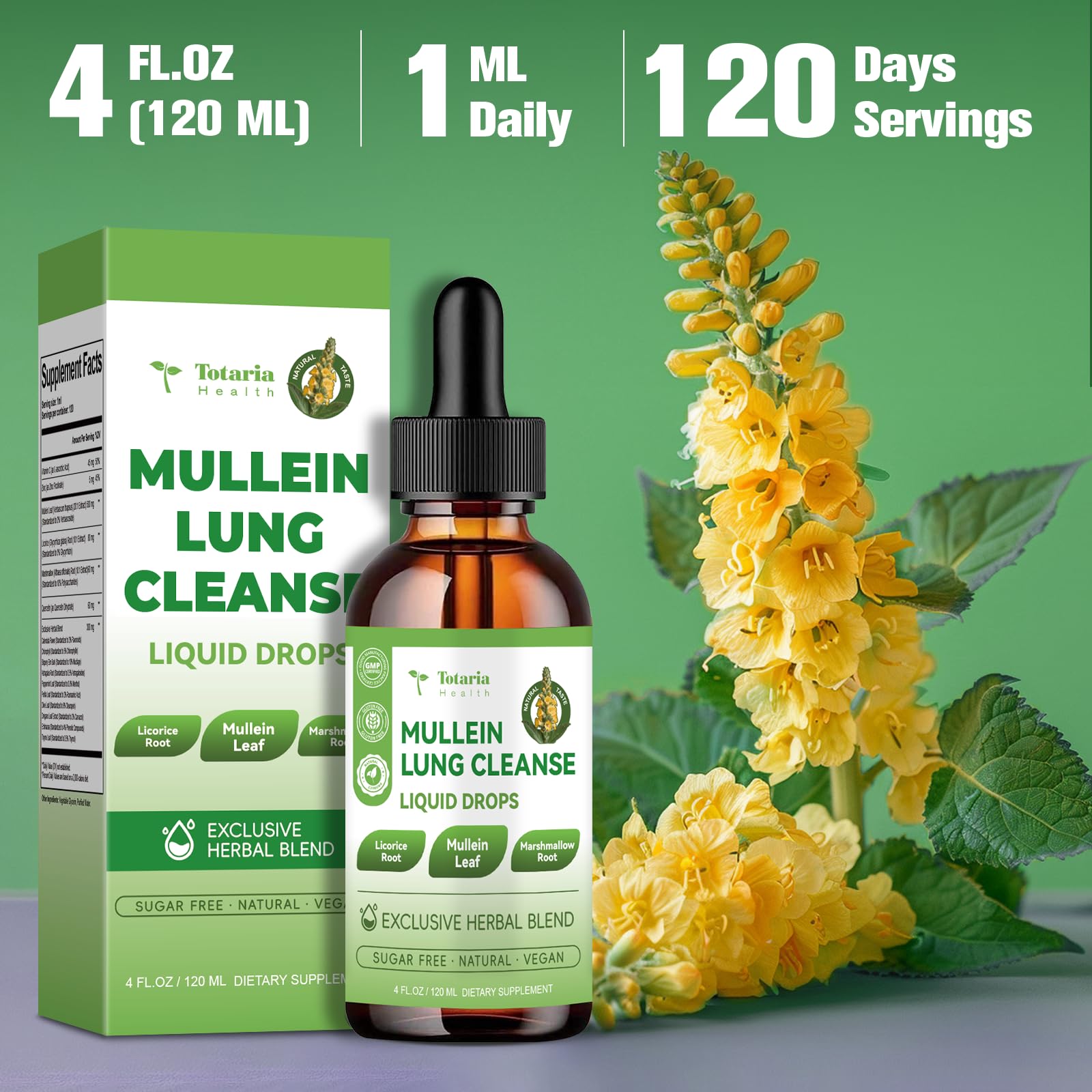 Travel-friendly packaging for Mullein Drops