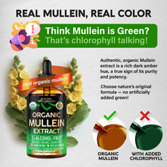 Mullein drops tea and tincture compatibility