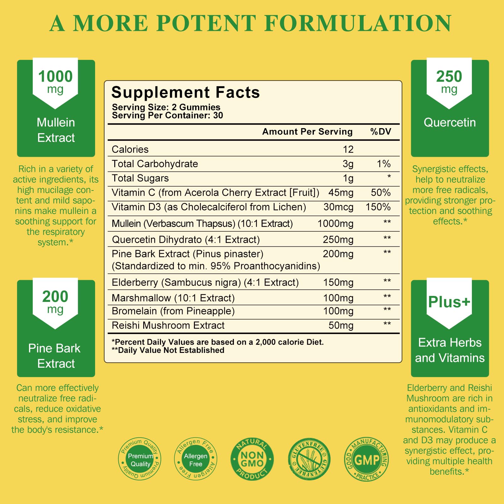 Two-pack packaging and product shot for Mullein Gummies