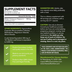 Close-up of mullein leaf extract capsule