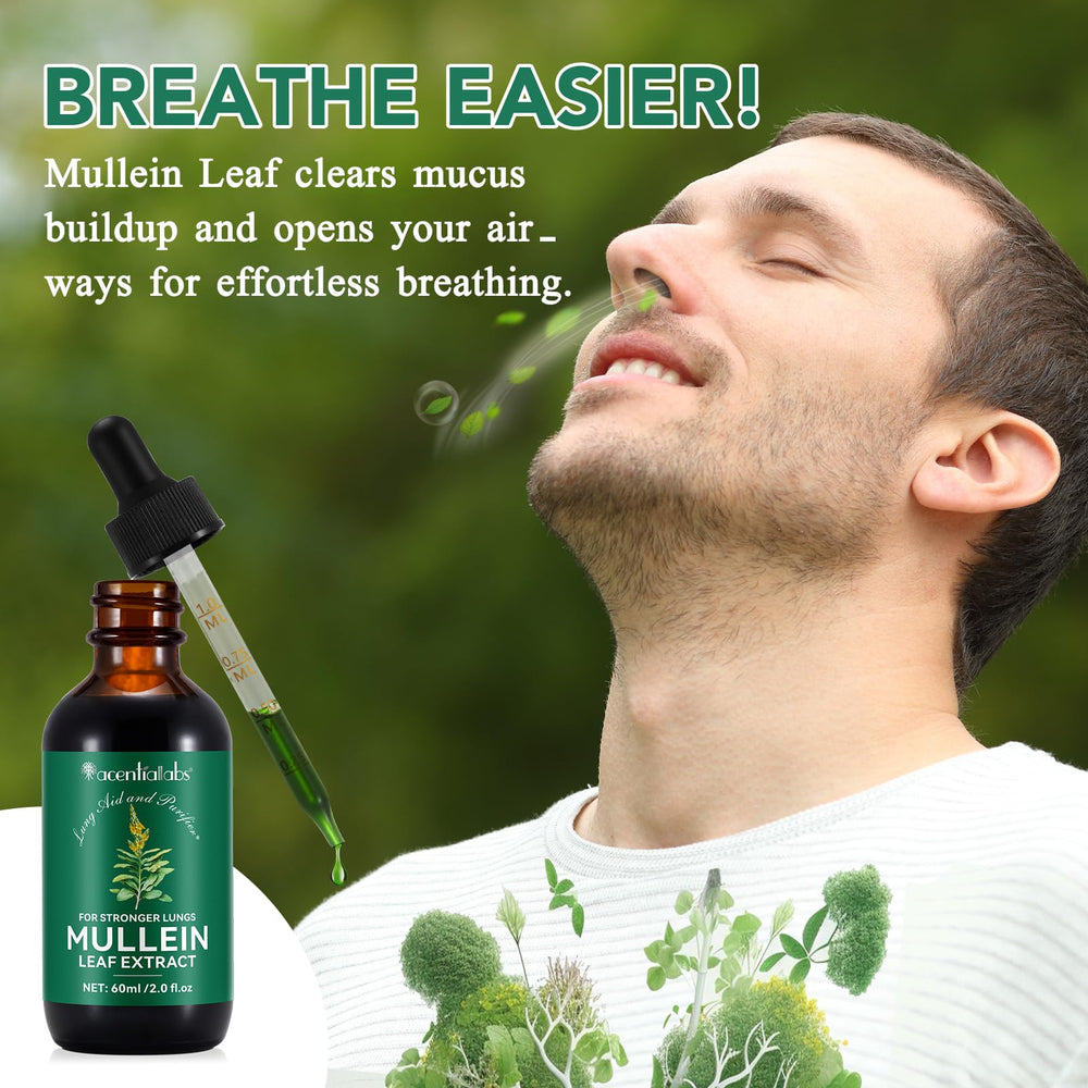 Mullein leaf extract with chlorophyll for respiratory support