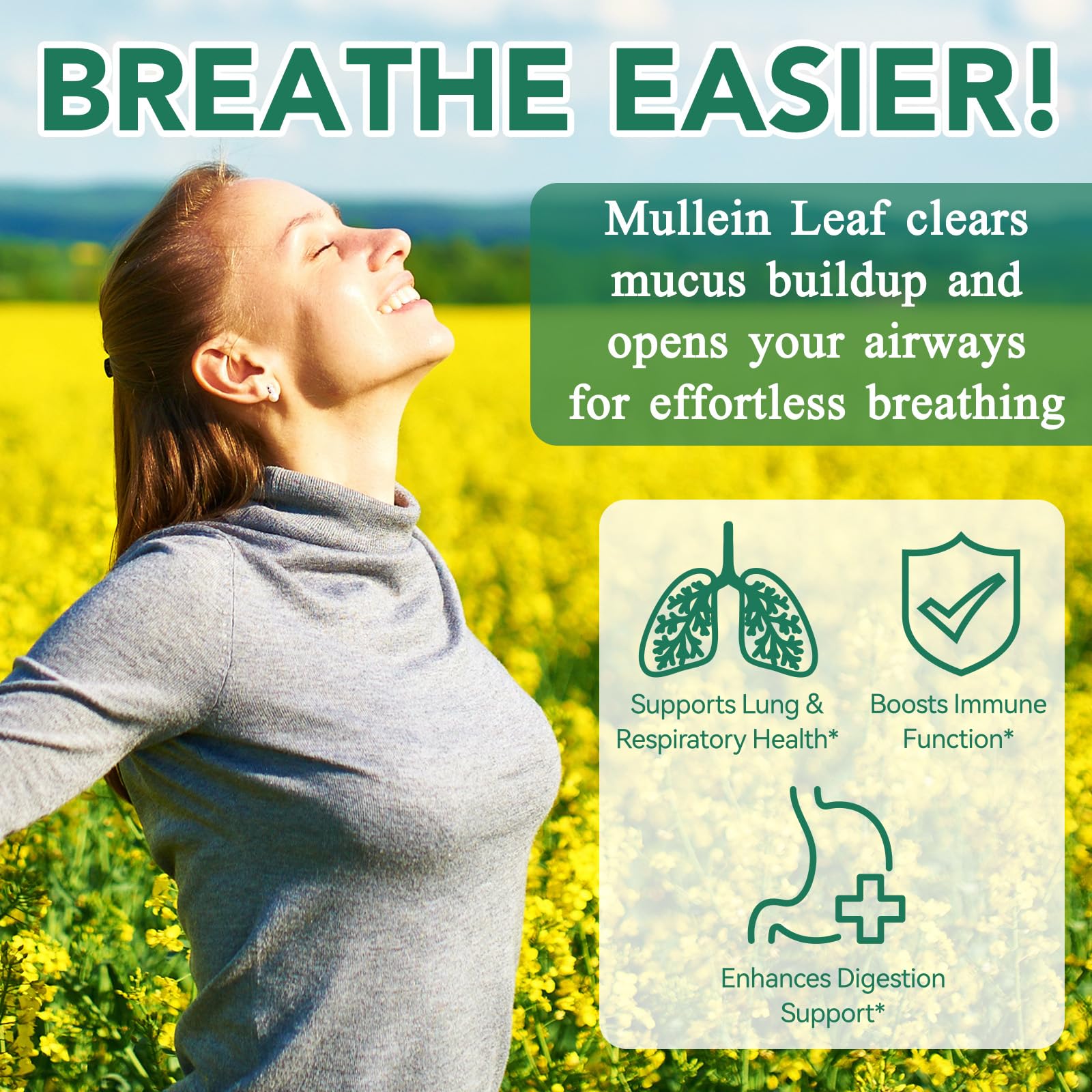 Mullein leaf extract gummies for respiratory support