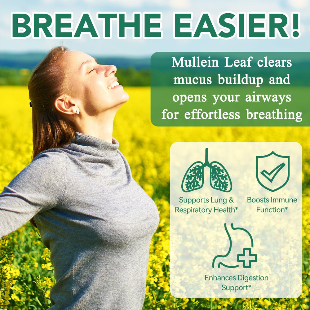 Mullein leaf extract gummies for respiratory support