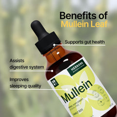 Organic mullein leaf tincture bottle and dropper