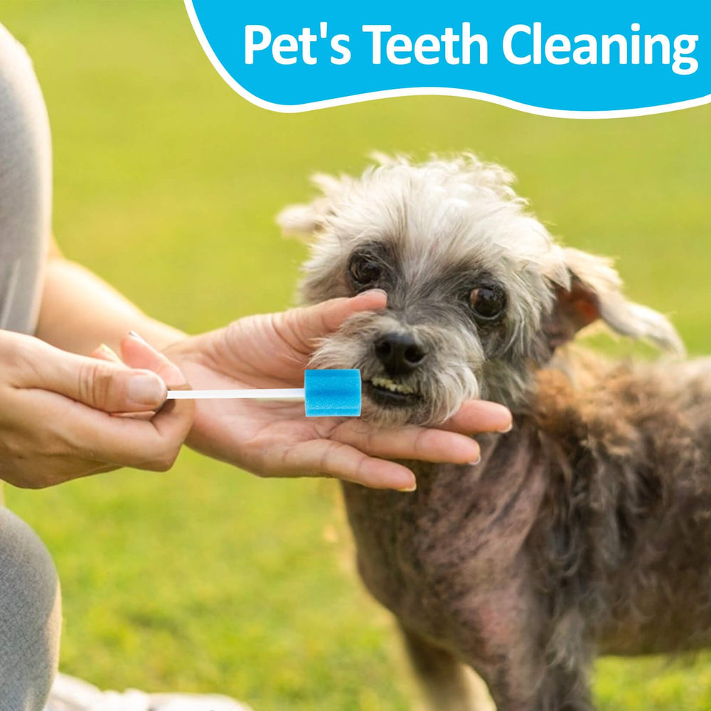 Oral cleaner swabs in use for elderly and children