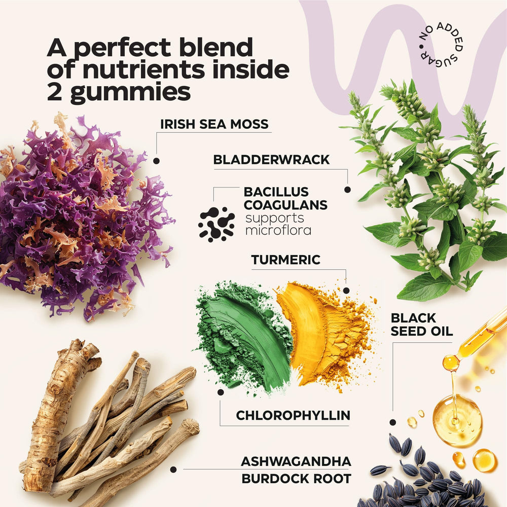 Graphic highlighting immunity, thyroid and gut health benefits of sea moss gummies