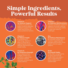 Multivitamin gummies highlighting zinc for immune support and brain health