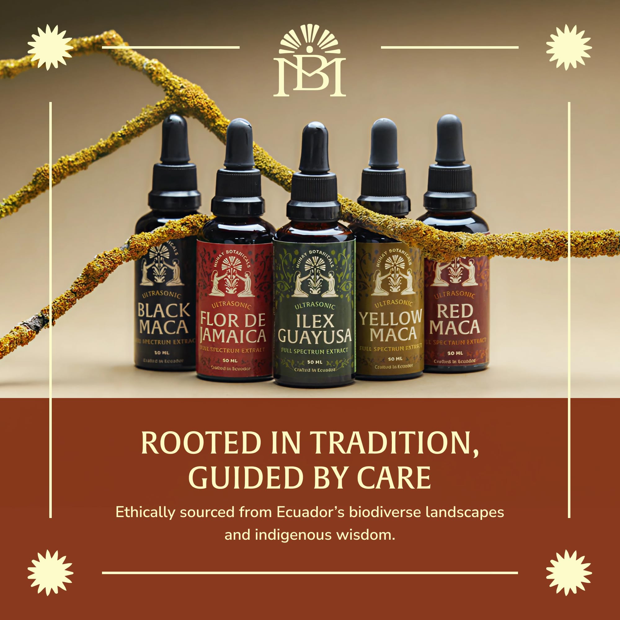 Munay Botanicals Hibiscus Extract serving illustration highlighting 50 servings per bottle