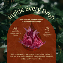 Munay Botanicals Hibiscus Extract sparkling water glass emphasizing refreshing hydration option