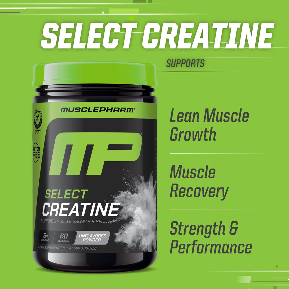 Scoop with creatine powder for serving