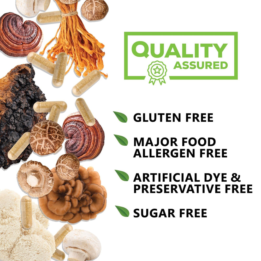 Adult studying and focused on work