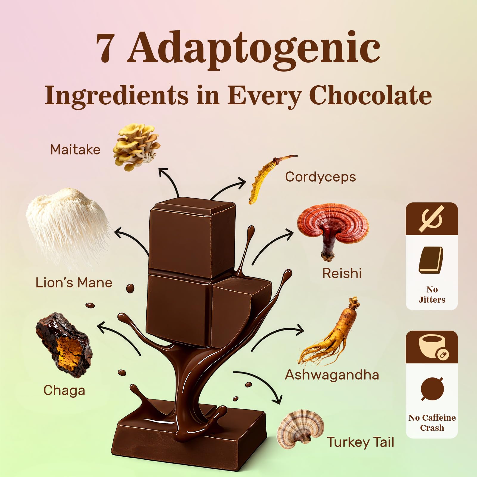 Close-up of cocoa, coconut oil and coconut sugar ingredients