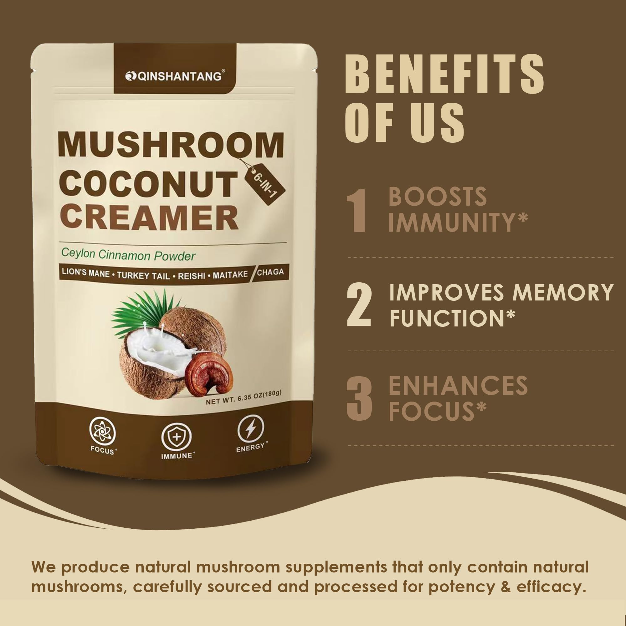 Close-up of the five mushrooms used: Lion's Mane, Turkey Tail, Reishi, Maitake, Chaga