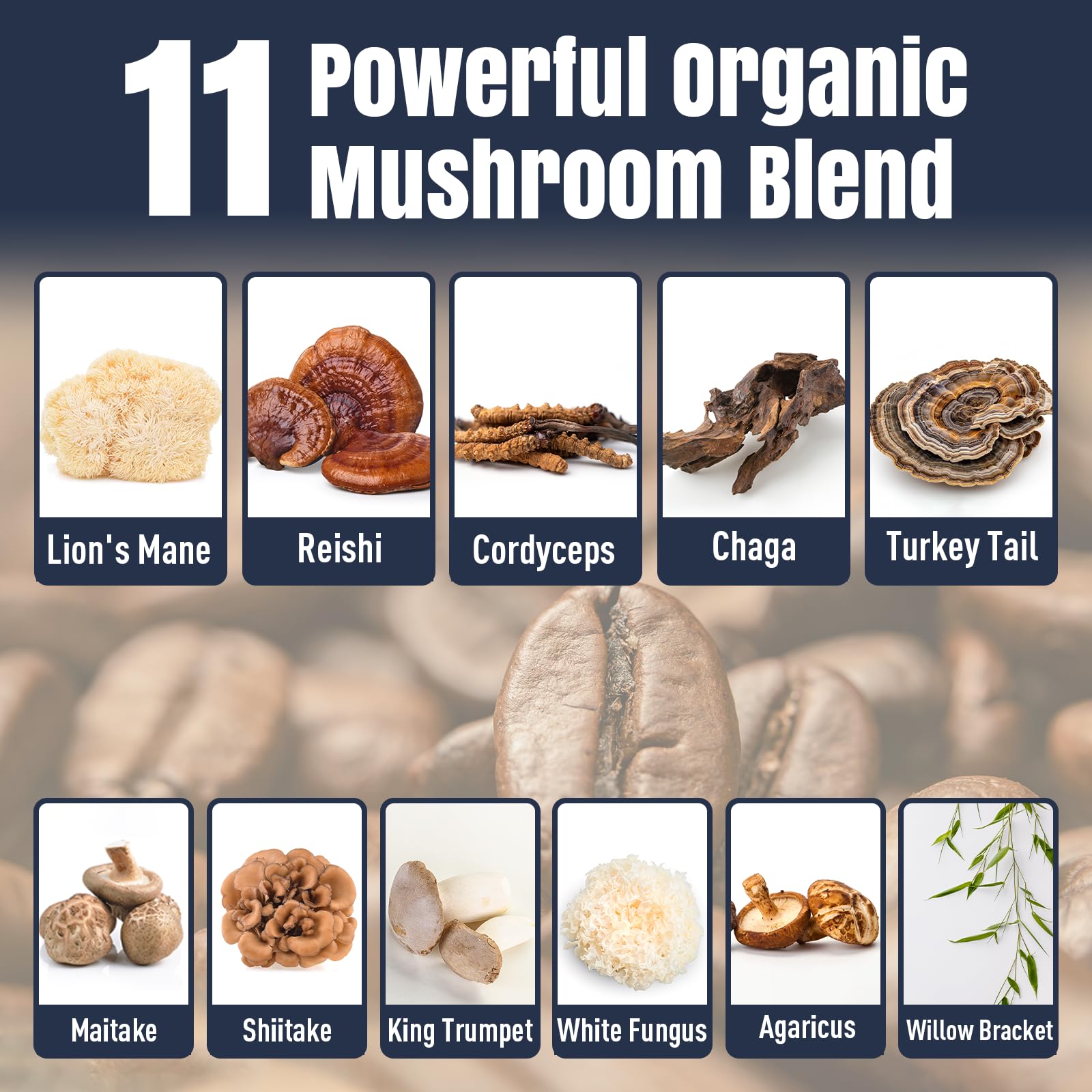 Ashwagandha and L-Theanine for energy and focus