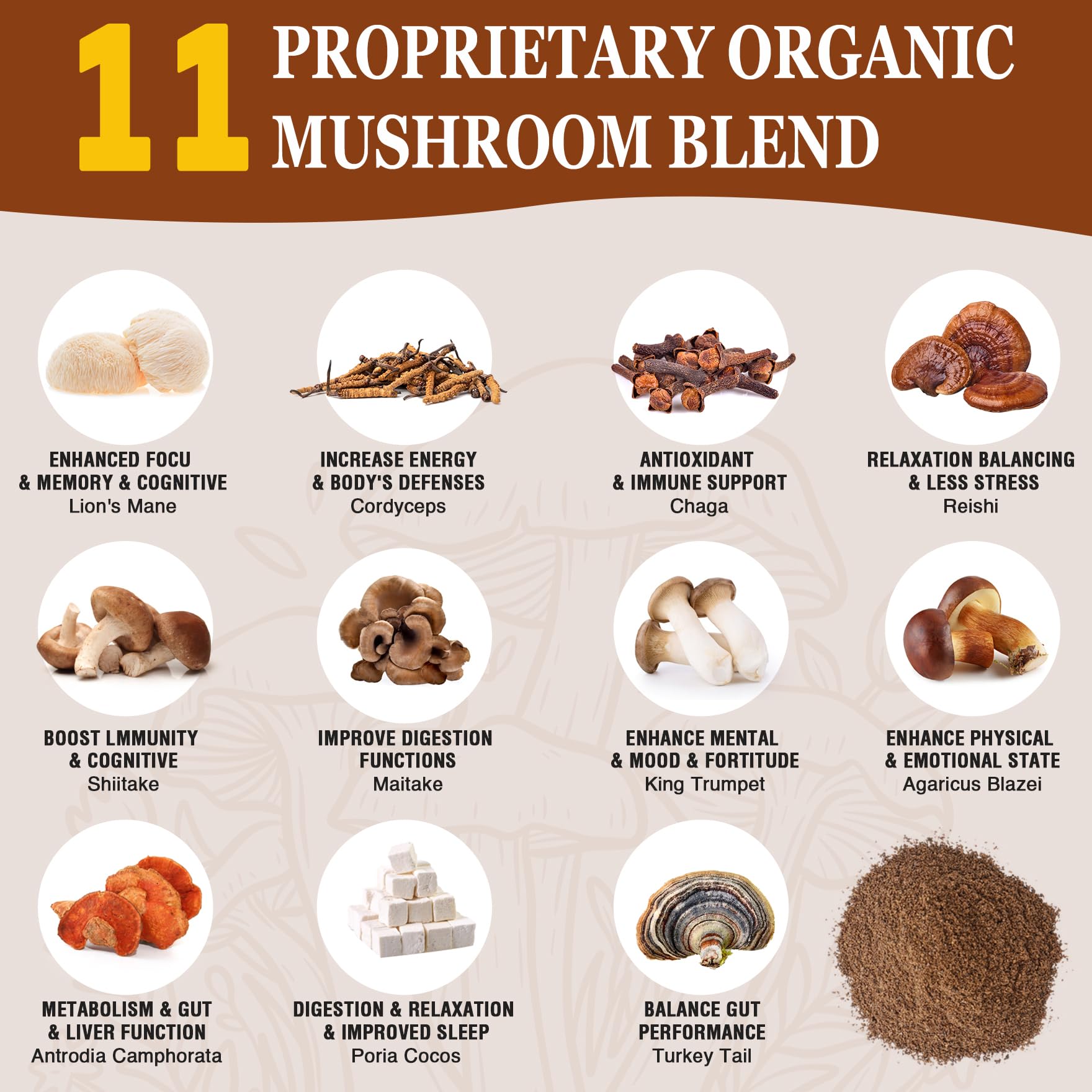 Chaga, Reishi and Cordyceps for immunity and energy