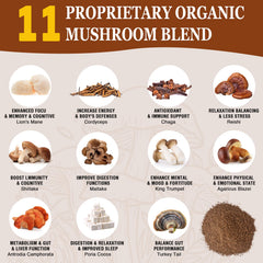 Chaga, Reishi and Cordyceps for immunity and energy