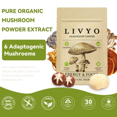 Close-up of ingredients: Lions Mane, Turkey Tail, and adaptogens