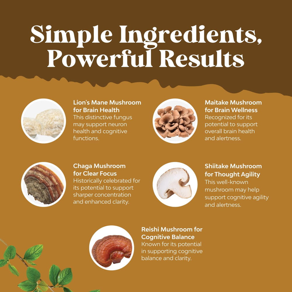 5 in 1 mushroom complex featuring Lion's Mane, Reishi, Chaga, Maitake, and Shiitake