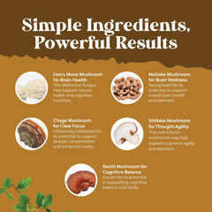 5 in 1 mushroom complex featuring Lion's Mane, Reishi, Chaga, Maitake, and Shiitake