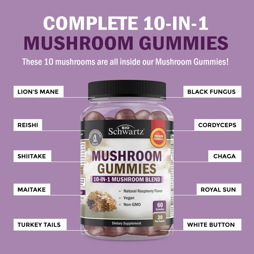 Visual representation of the 10-in-1 mushroom blend