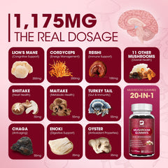 Infographic of 20 mushroom extracts including Lions Mane, Reishi and Cordyceps