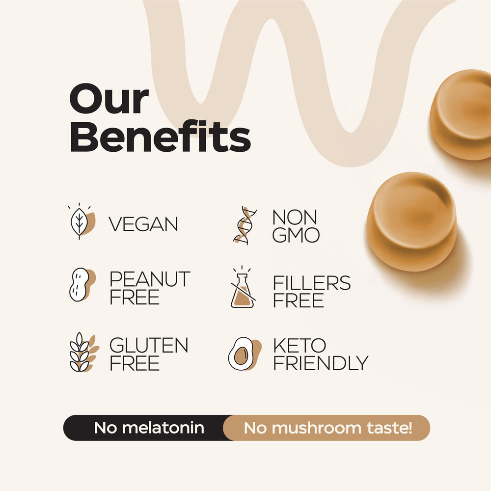 Assortment of adaptogenic mushrooms used in gummies