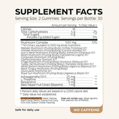 Two-pack Mushroom Gummies packaging