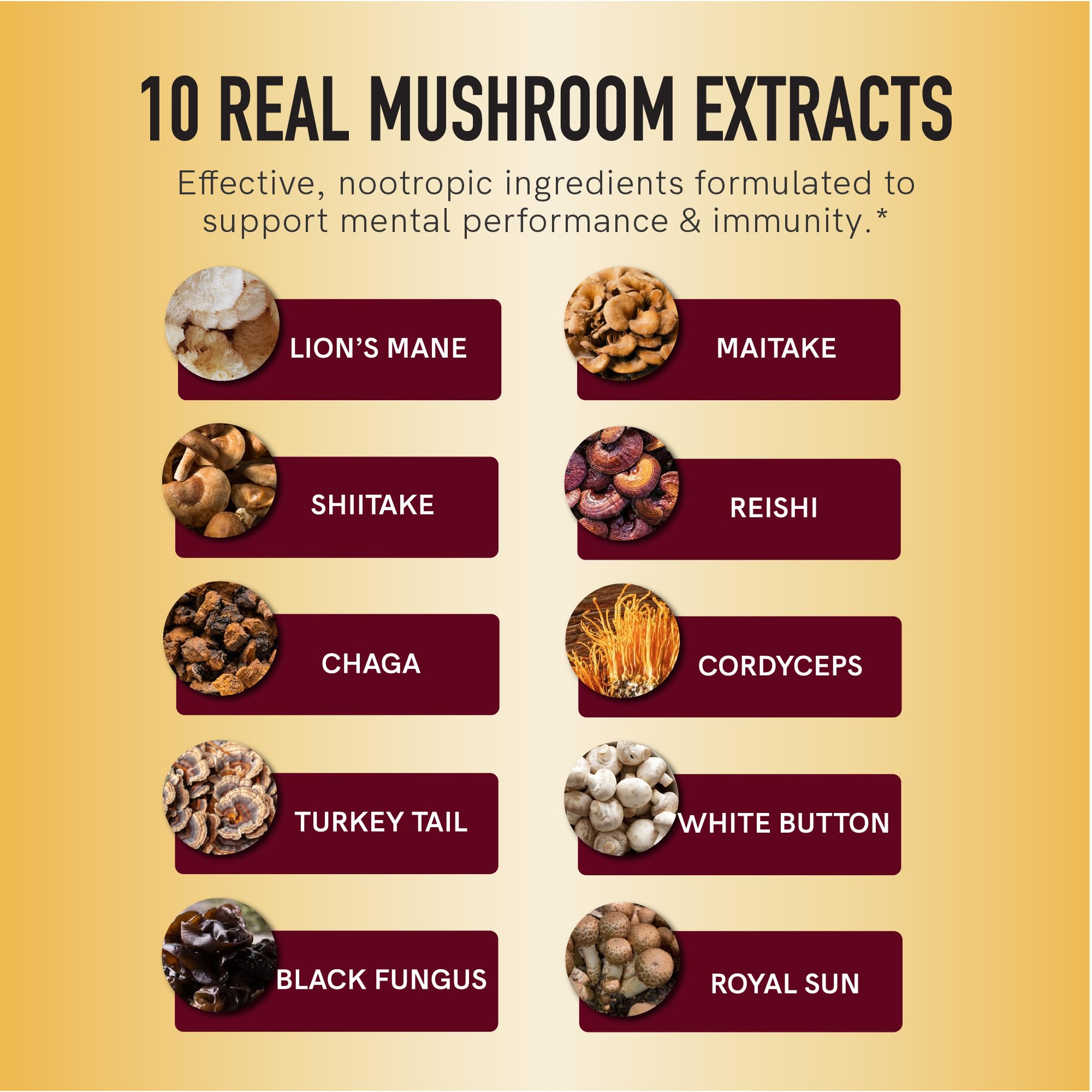 Assorted functional mushrooms used in gummies: Lions Mane, Reishi, Chaga