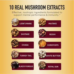 Assorted functional mushrooms used in gummies: Lions Mane, Reishi, Chaga