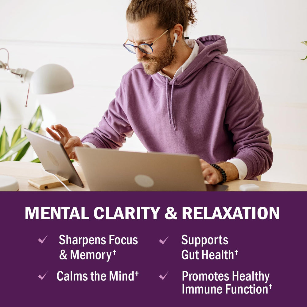 Illustration showing the 10 mushroom types in the blend